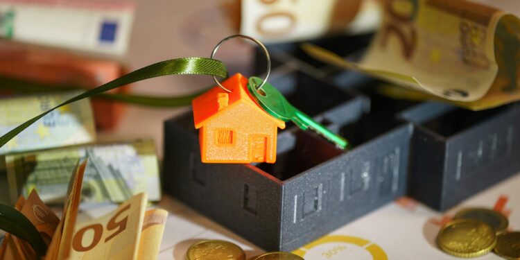 BonifiQ projeta dobrar faturamento, chegando a R$ 15 milhões