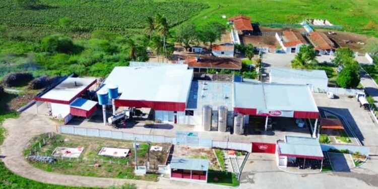 Grupo Piracanjuba acelera expansão no Nordeste com aquisição do Laticínio Sertão