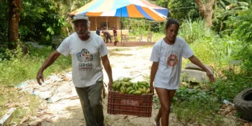Cooperativas podem aderir ao novo Desenrola Rural com descontos de até 96%