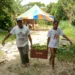 Cooperativas podem aderir ao novo Desenrola Rural com descontos de até 96%
