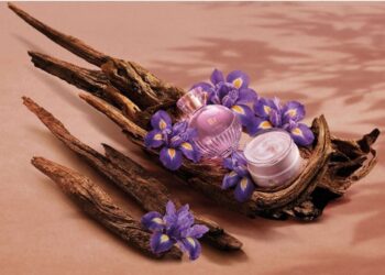 Com ingrediente raro da perfumaria internacional, O Boticário lança Liz D’Essence