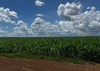 GCB lança CRA para impulsionar irrigação e produtividade na Fazenda Canaã