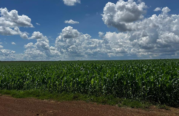 GCB lança CRA para impulsionar irrigação e produtividade na Fazenda Canaã