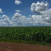 GCB lança CRA para impulsionar irrigação e produtividade na Fazenda Canaã