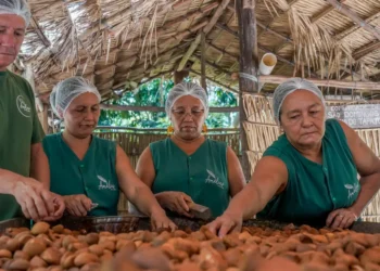 Formosa tem o maior saldo de empregos formais de Goiás em abril