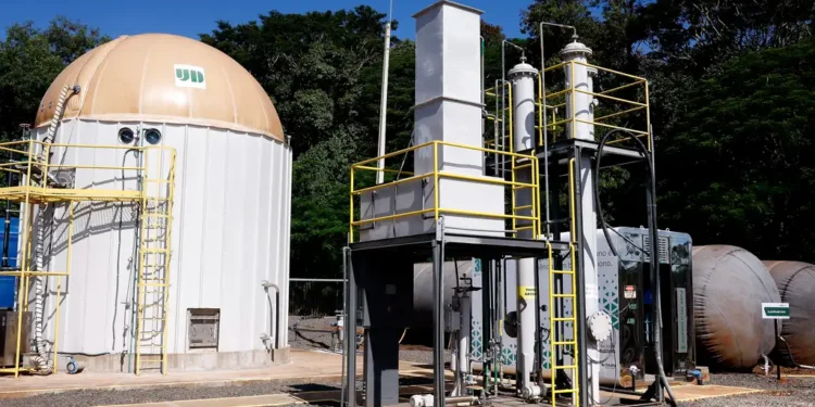 Energia térmica renovável vira alternativa competitiva para indústria goiana