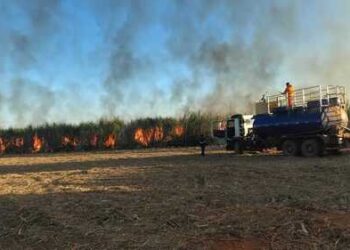 Prevenção e conscientização ajudam usinas a reduzir ocorrências de incêndios em canaviais em Goiás