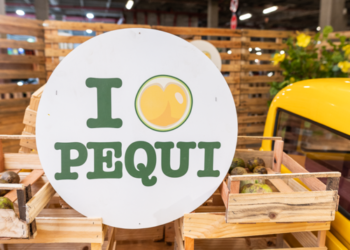 Festival ‘I Love Pequi’ agita o fim de semana dos Pais em Goiânia