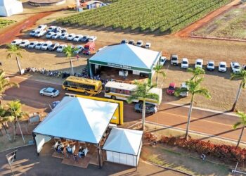 Coopercitrus Expo 2026 marca os 50 anos da cooperativa