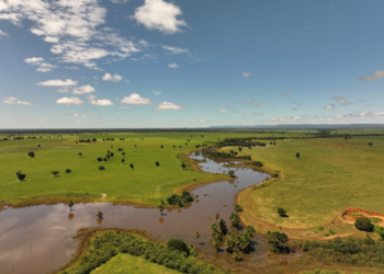 Parceria impulsiona agricultura regenerativa no Cerrado