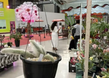 Com mais adeptos da jardinagem, Goiânia recebe feira de plantas durante as férias