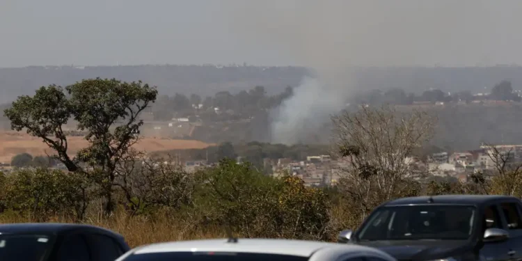 Cempa-Cerrado UFG lança ferramentas para Goiás reforçar resposta às mudanças climáticas