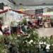 Plantas conquistam espaço como presente de Dia dos Pais