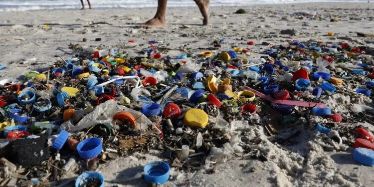 Indústria de reciclagem mecânica de plásticos bate recorde de empregos