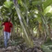 Pesquisa do IF Goiano sobre clima na agricultura familiar é selecionado em edital de R$ 2,5 milhões