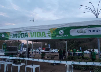 Projeto ambiental da Sell Agro distribui 6 mil mudas em Rondonópolis (MT)