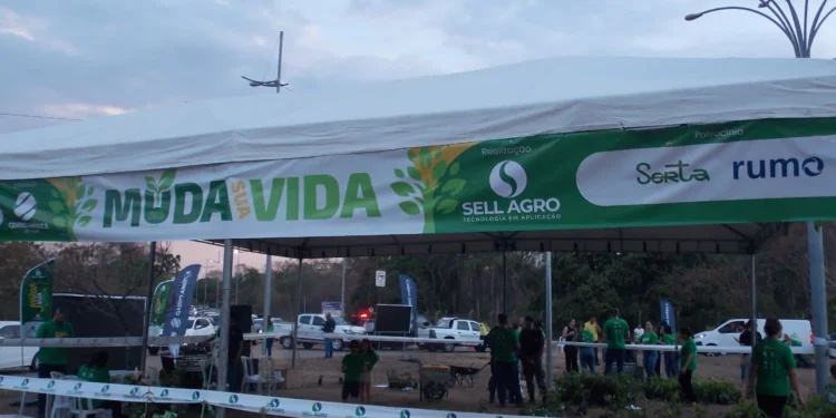 Projeto ambiental da Sell Agro distribui 6 mil mudas em Rondonópolis (MT)