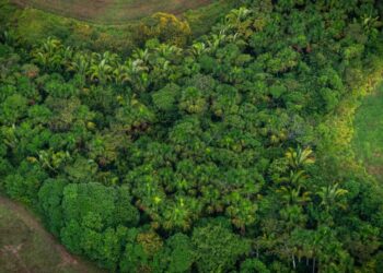 Goiânia recebe evento que discute como financiar o futuro sustentável do Brasil