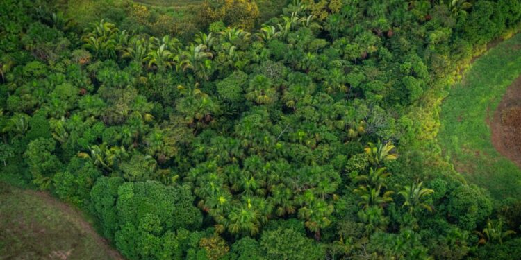 Goiânia recebe evento que discute como financiar o futuro sustentável do Brasil