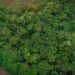 Goiânia recebe evento que discute como financiar o futuro sustentável do Brasil