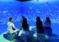 Experiência imersiva leva público a uma viagem pelo fundo do mar em Palmas