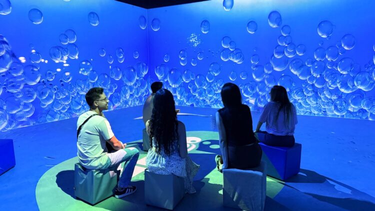 Experiência imersiva leva público a uma viagem pelo fundo do mar em Palmas