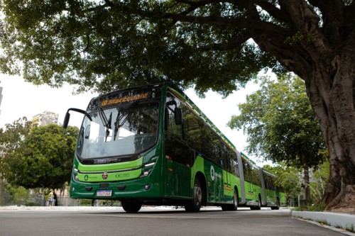 Com ônibus elétricos e a biometano, Goiás evitou mais de 8 mil toneladas de CO2, mostra estudo