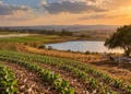 Embrapa apresenta estratégias agropecuárias contra os impactos do El Niño