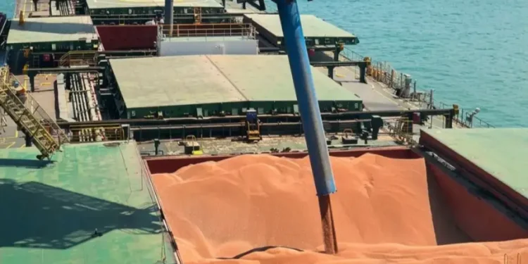 VLI inicia movimentação de sorgo do Tocantins, com destino à China e à África