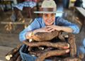 Raízes da Prosperidade: Como o cooperativismo da mandioca redefiniu o sustento e o futuro de famílias em Goiás