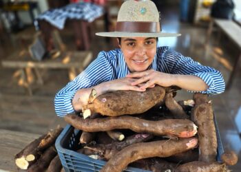 Raízes da Prosperidade: Como o cooperativismo da mandioca redefiniu o sustento e o futuro de famílias em Goiás